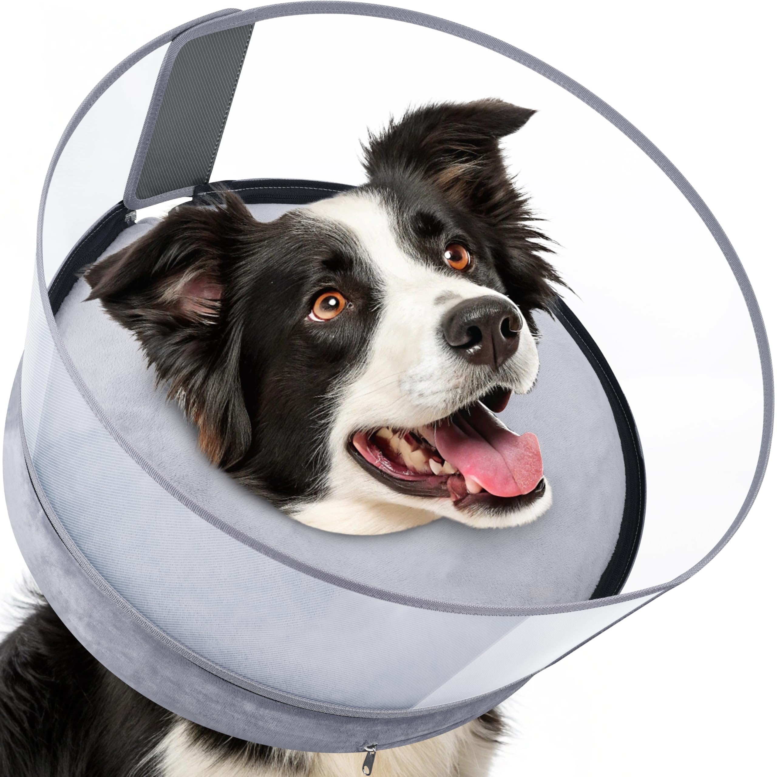 BARKLESS donut collar side view shows inflatable protective design aiding post-surgery recovery and comfort