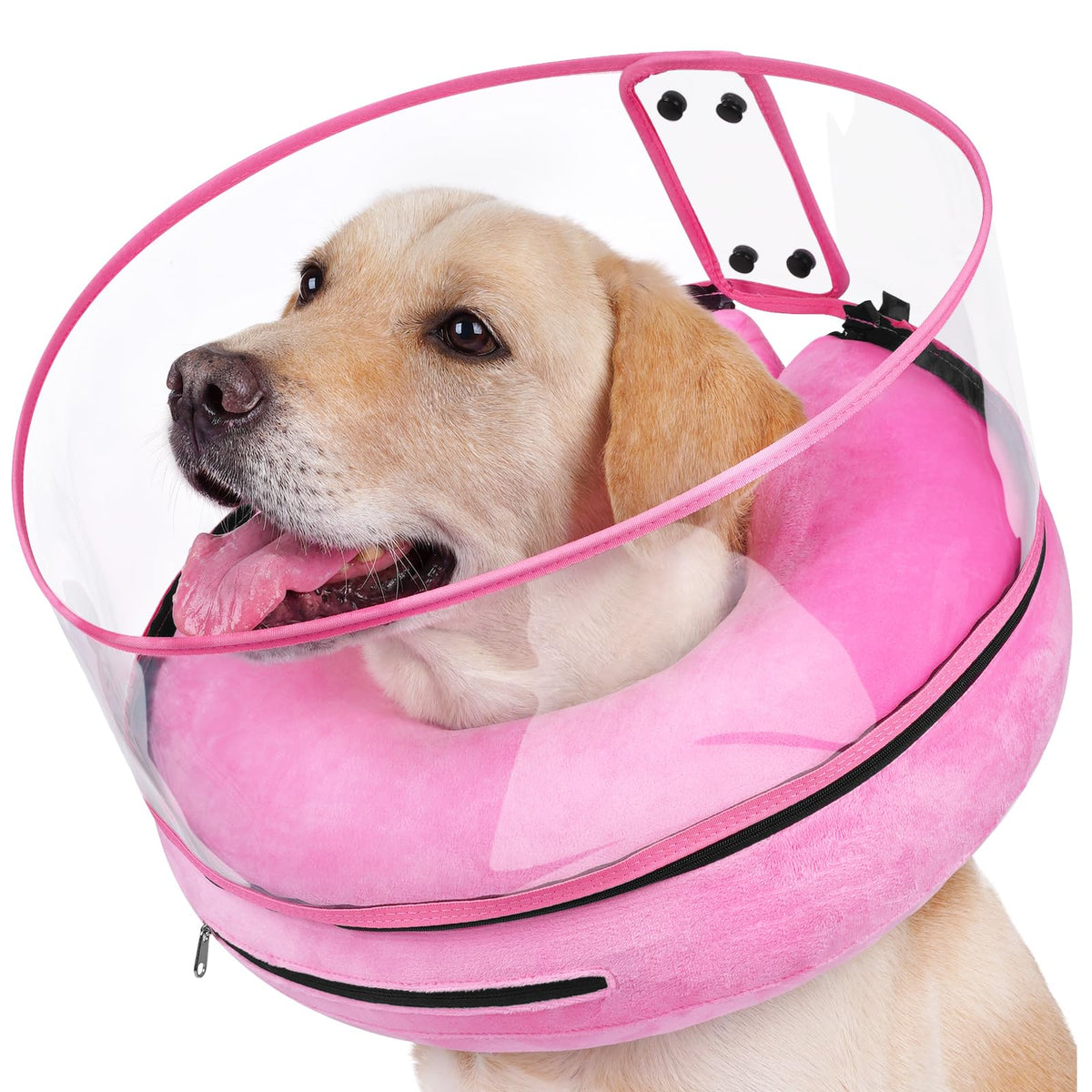 BARKLESS inflatable pink cone on a dog’s neck for wound coverage.