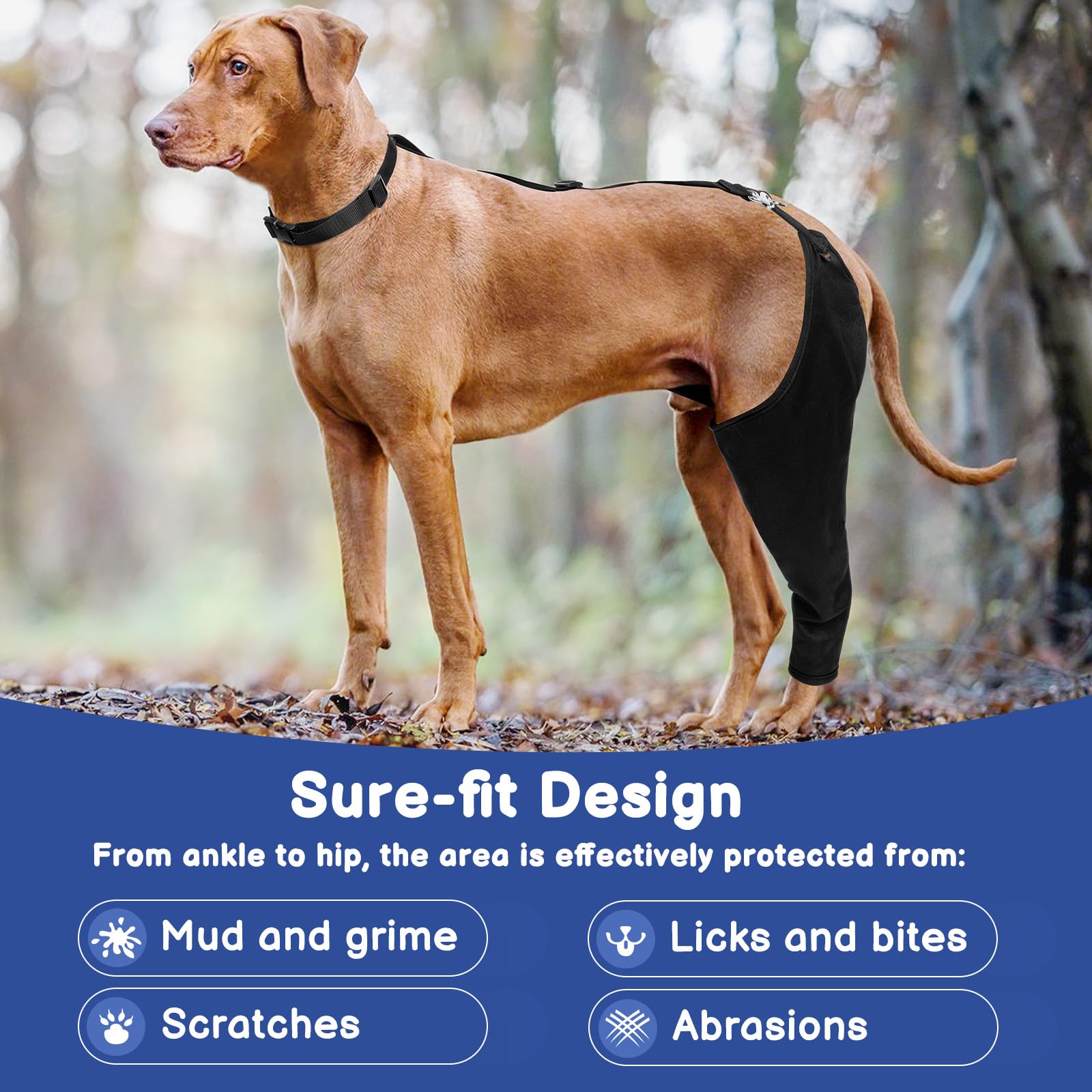 BARKLESS left hind leg sleeve demonstrates versatile fit during daily activities.