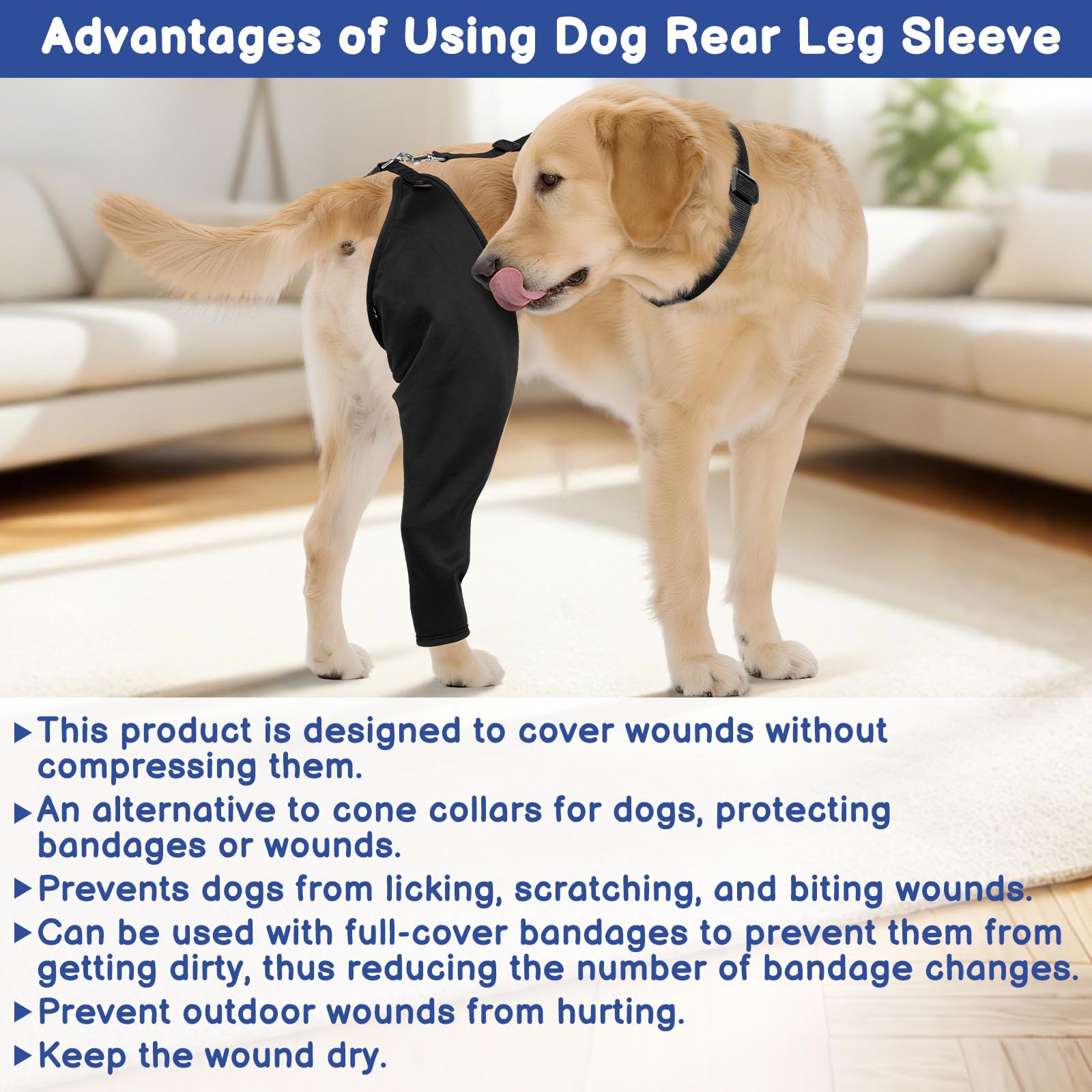 BARKLESS machine-washable sleeve ready for repeated use and easy maintenance.