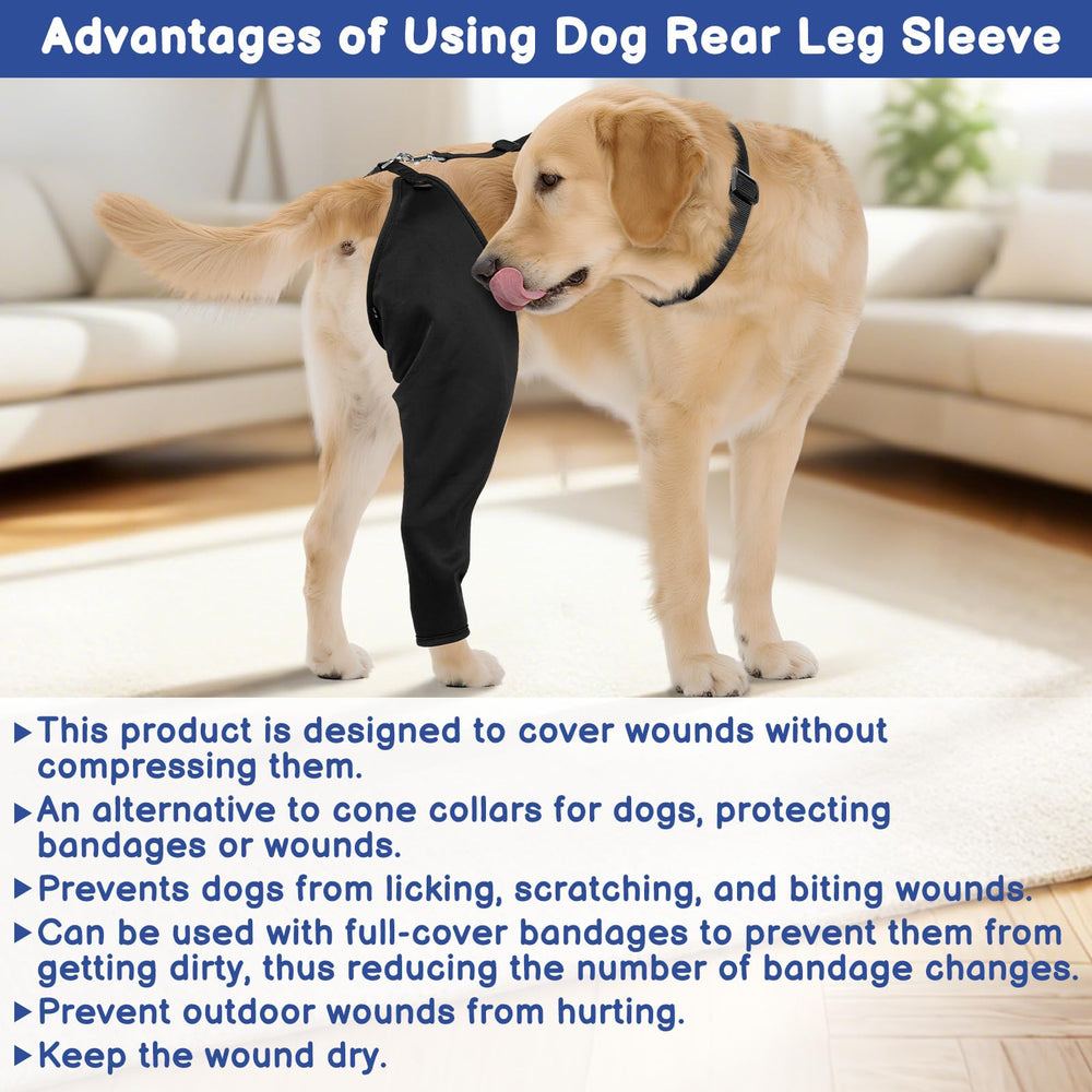 BARKLESS machine-washable sleeve ready for repeated use and easy maintenance.
