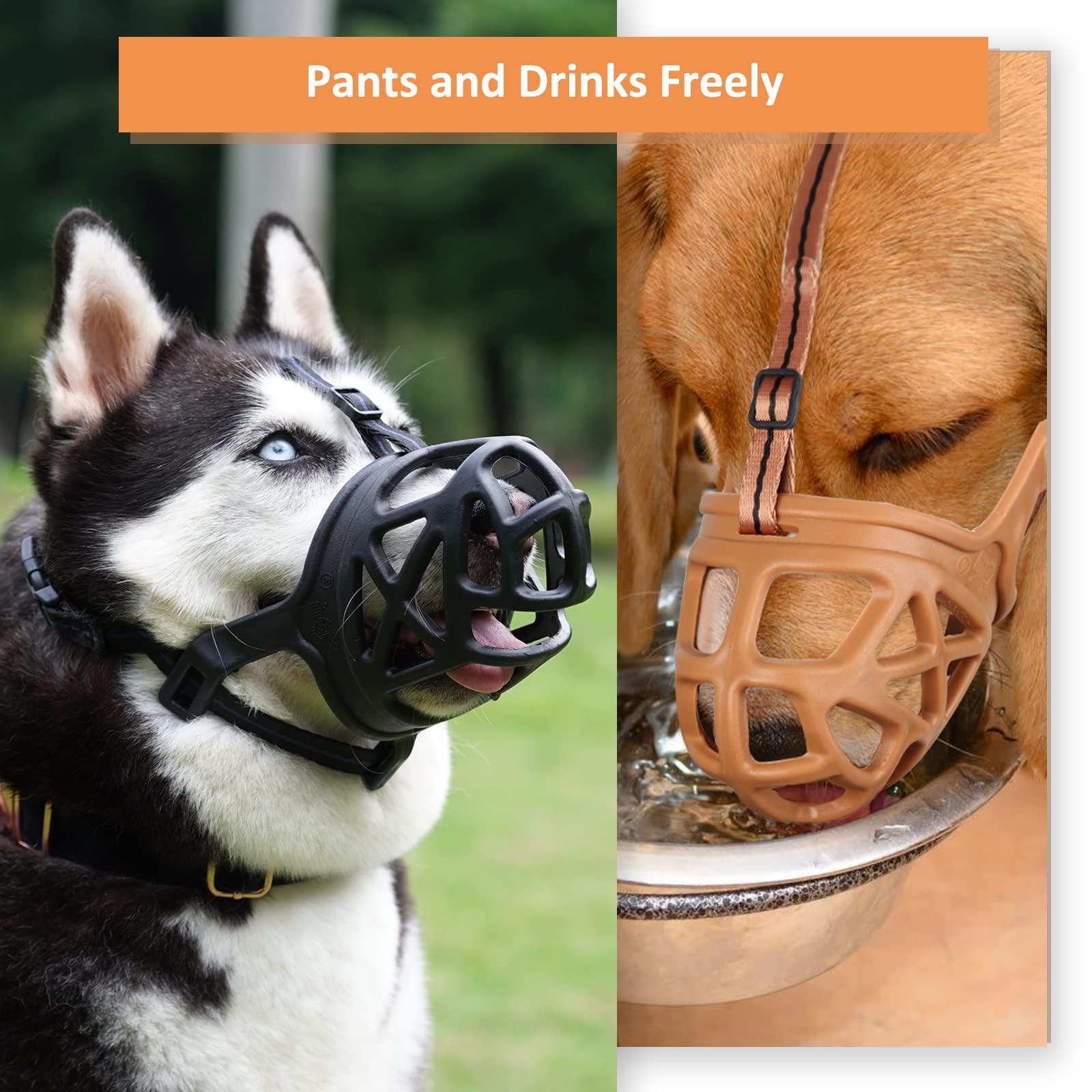 BARKLESS adjustable-straps closeup demonstrating easy fit and secure wear.