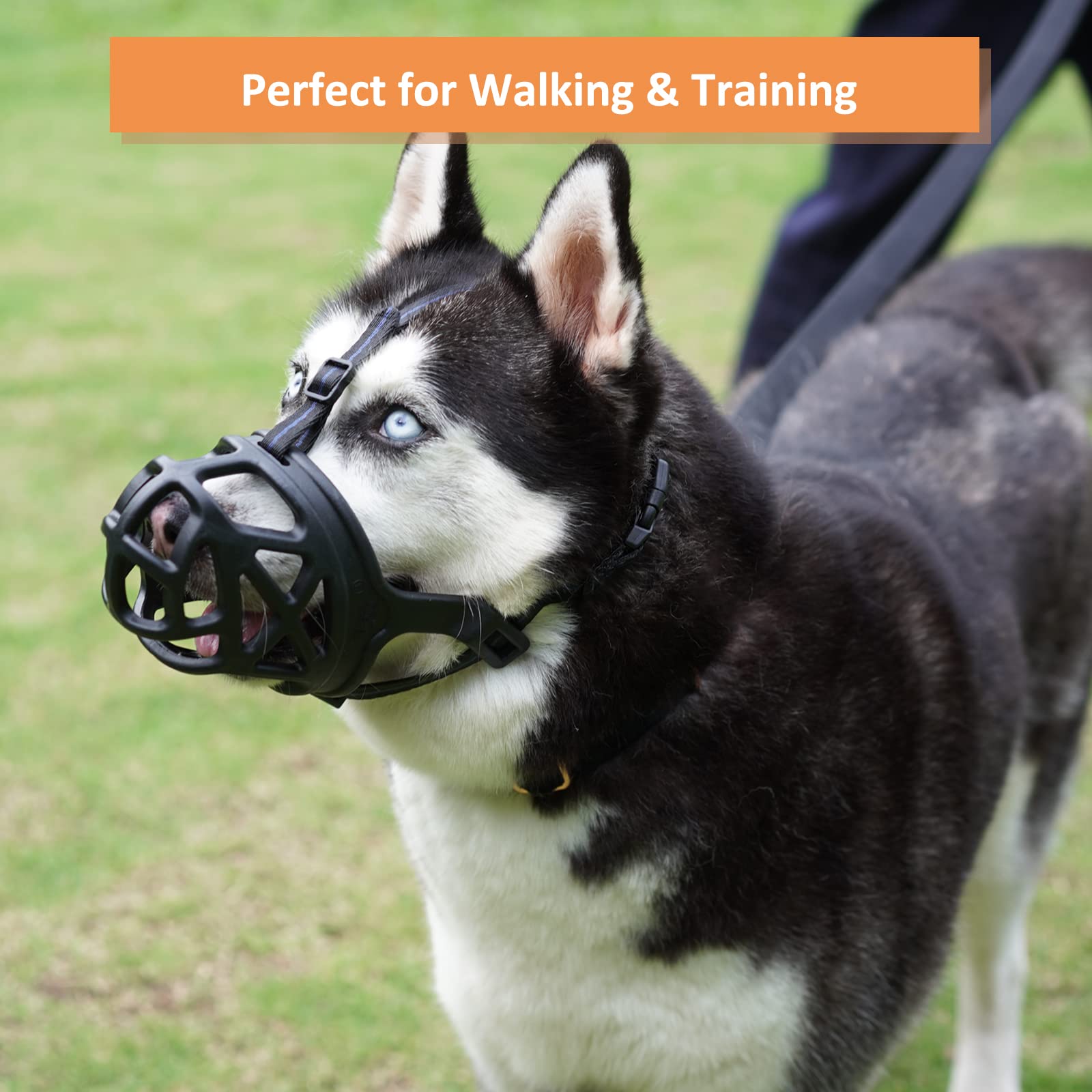 BARKLESS muzzle suitable for grooming and vet visits during travel