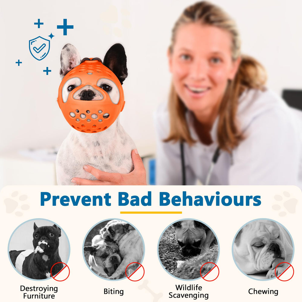 BARKLESS muzzle with training tips supports desensitization with treats.