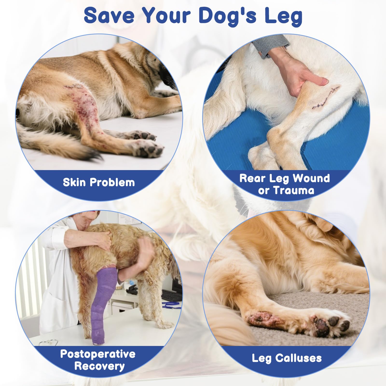 BARKLESS recovery suit on a dog supporting gentle movement and protection during activity.