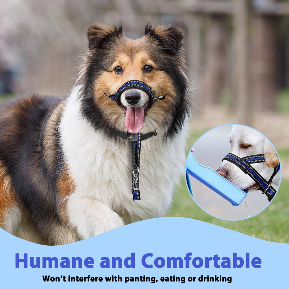 BARKLESS size-chart-dogs-medium provides sizing guidance for proper fit
