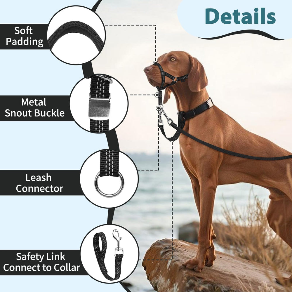 BARKLESS buckle mechanism close-up featuring quick-release for easy on/off.