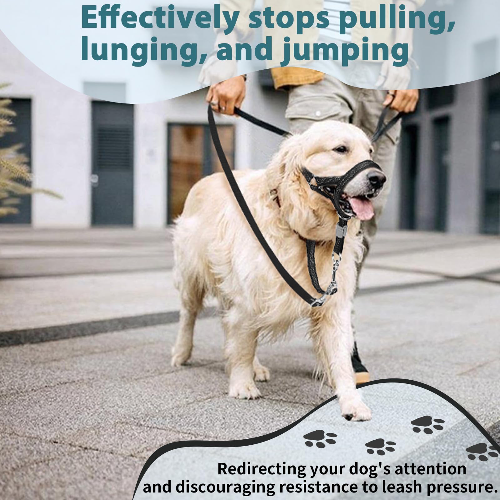 BARKLESS head collar side adjustment demonstrates customizable fit for medium to large dogs.