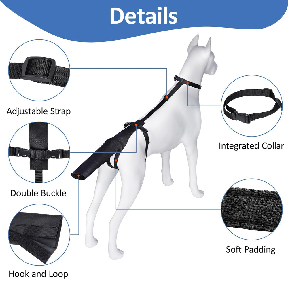 BARKLESS tail guard on dog tail demonstrates secure fit during movement