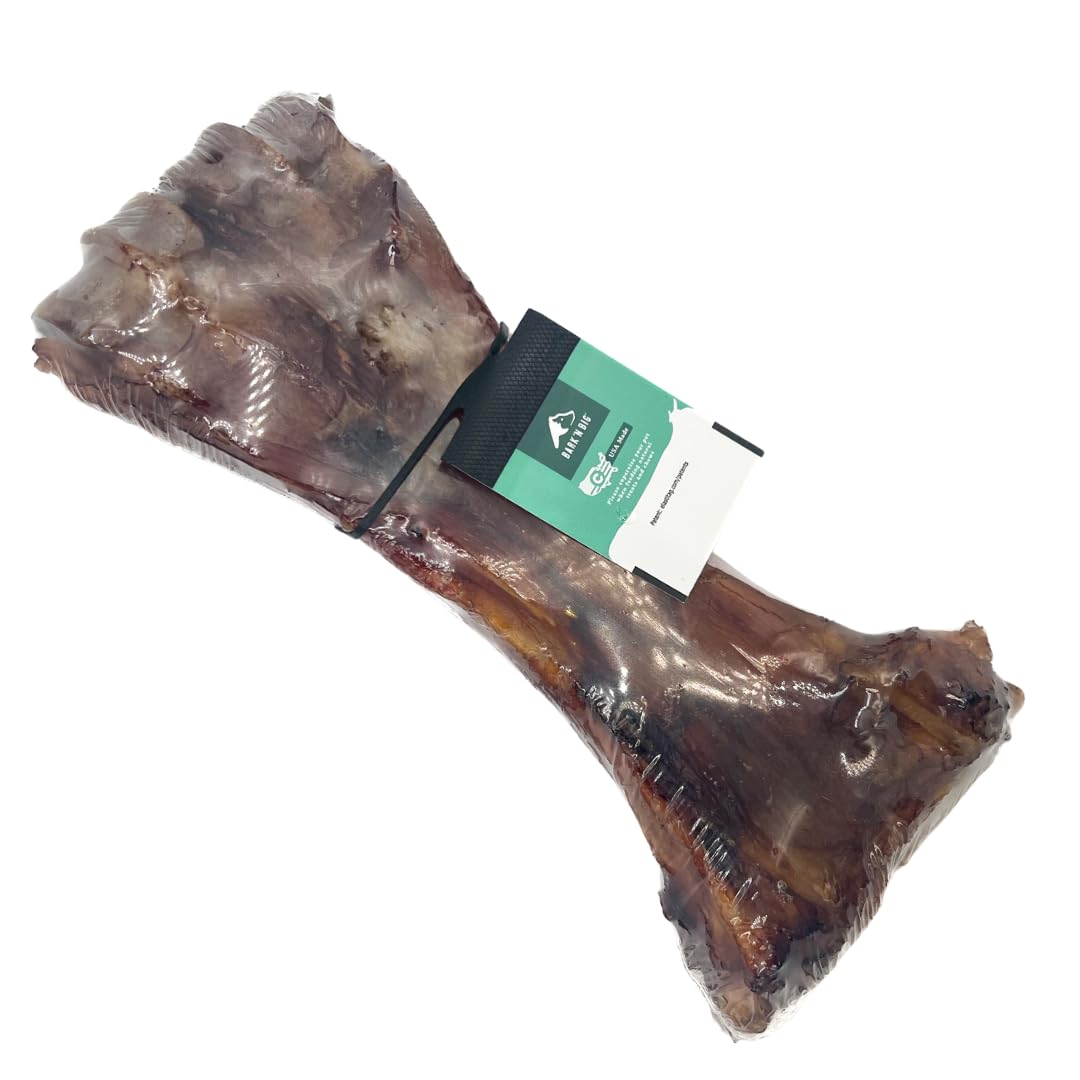 BARK'N BIG beef shin bone for large dogs close-up shows long-lasting chew potential.