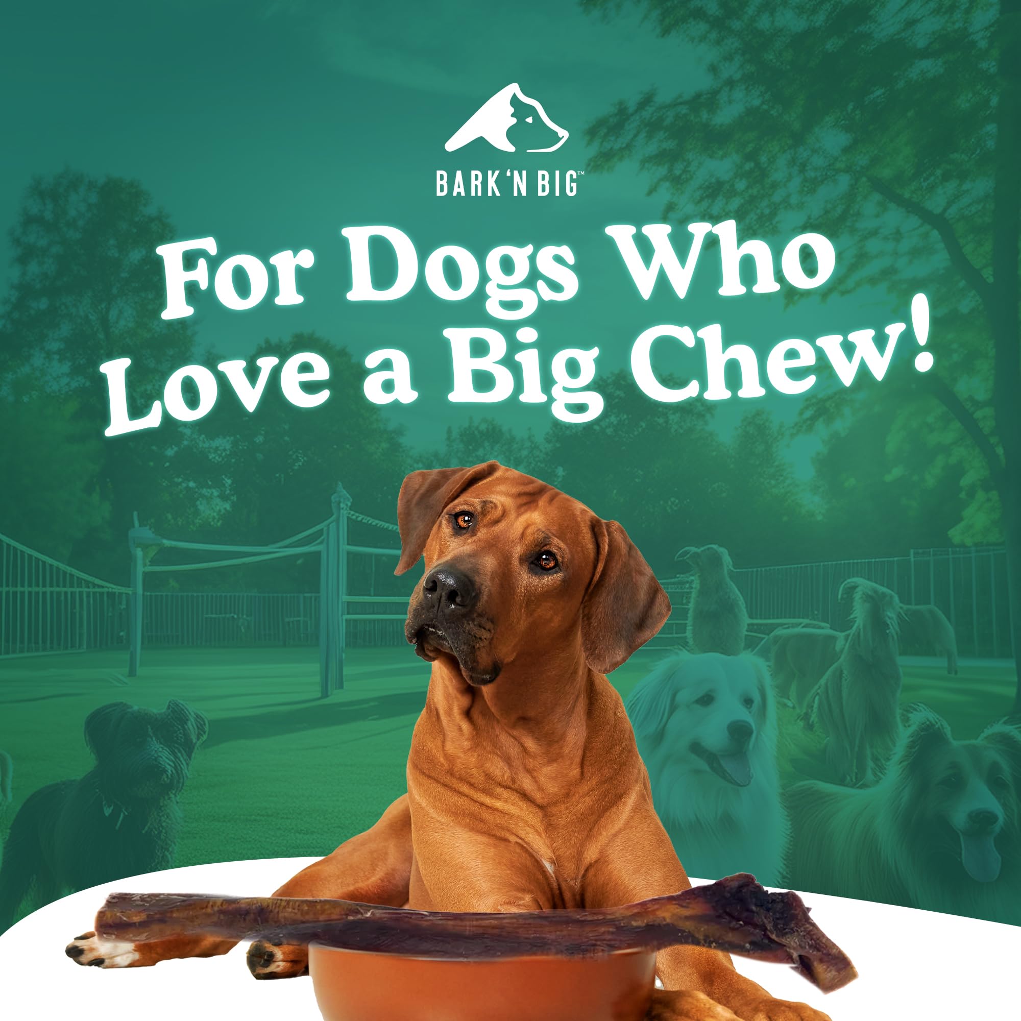 BARK'N BIG Bully Stick de un solo ingrediente, ternera de alta calidad.