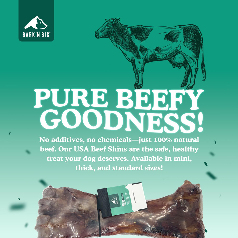 BARK'N BIG heavy-chewer bone framed for durability and long chew sessions.