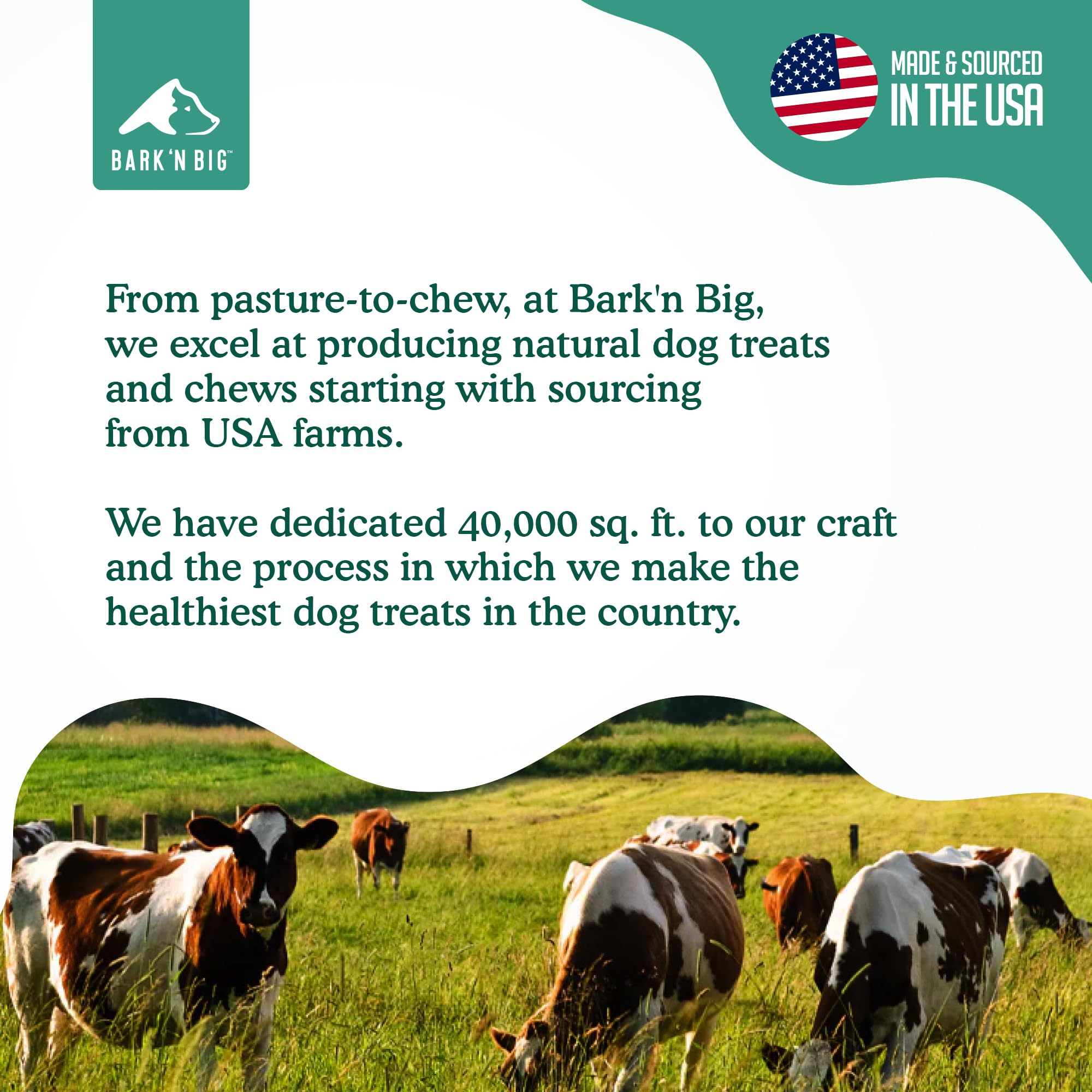 BARK'N BIG Hecho en EE.UU. Bully Stick para perros grandes.