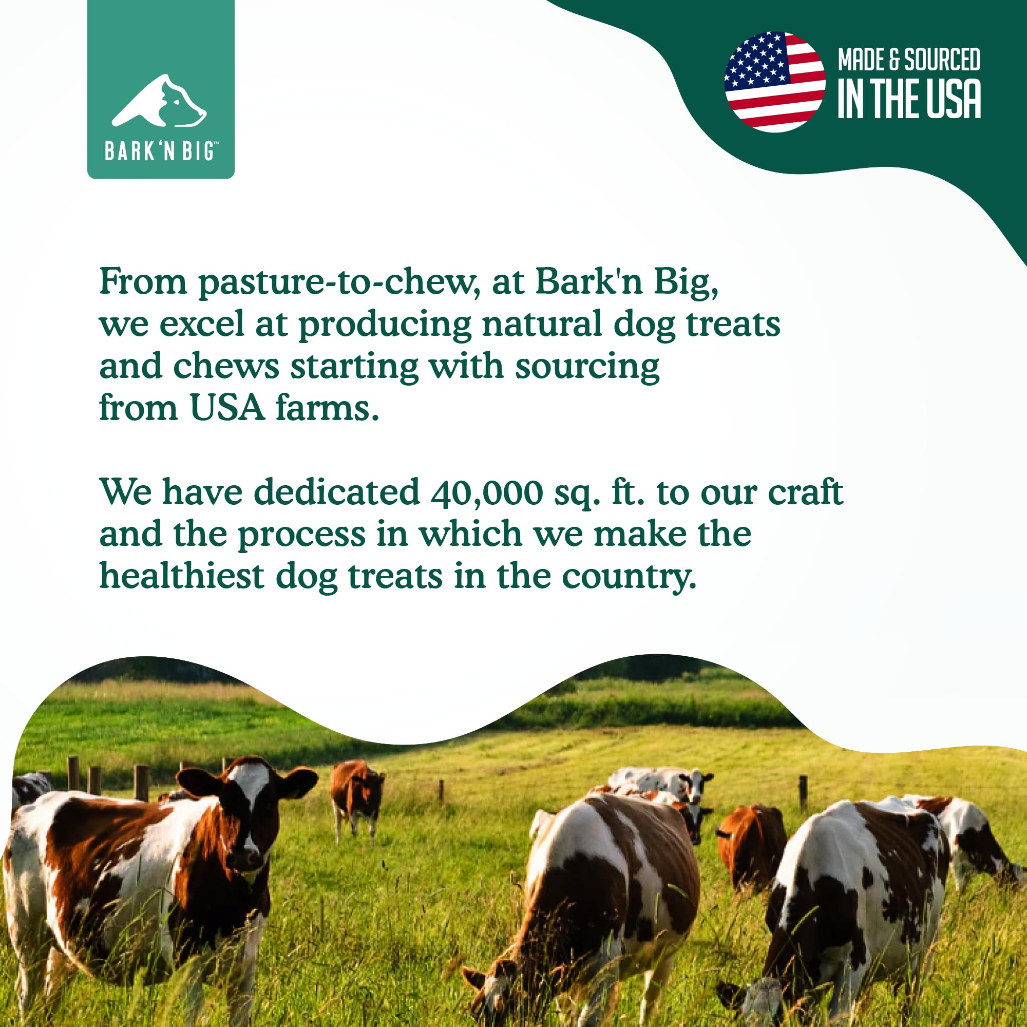 BARK'N BIG power-chewer bone in action demonstrates intense chew and engagement.