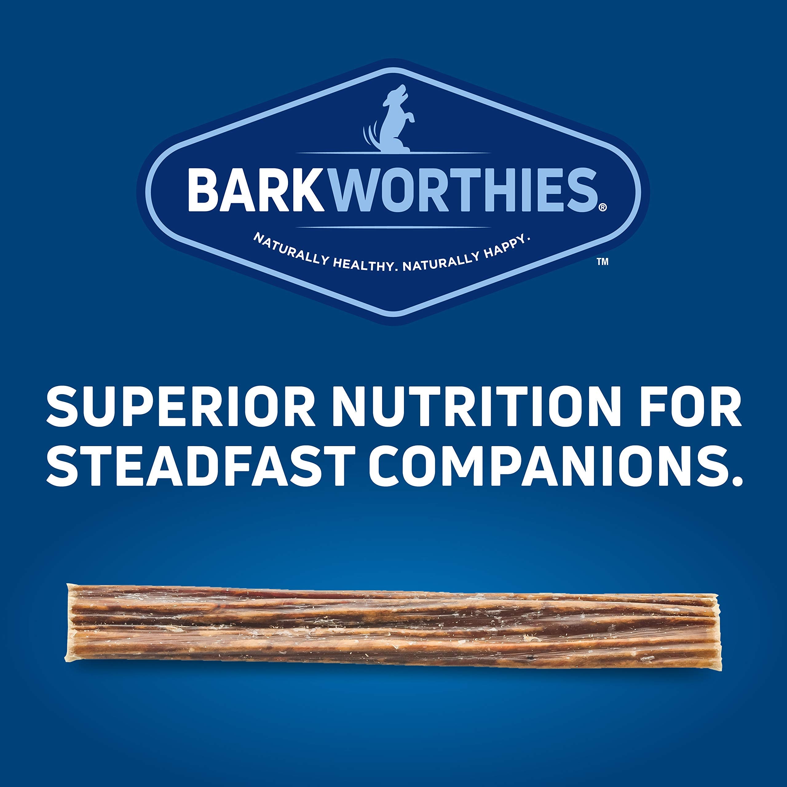 Barkworthies Beef Gullet Stick shown with an older dog enjoying a chew.