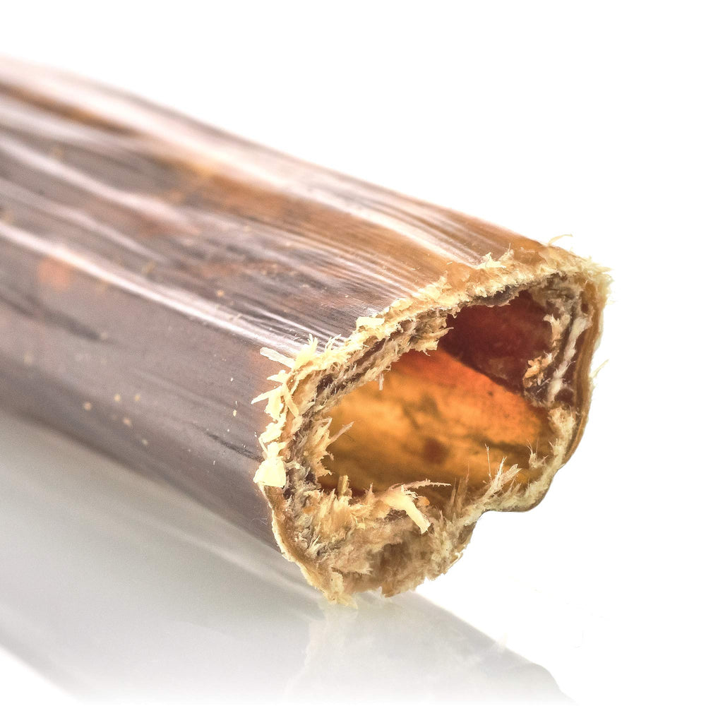 Barkworthies Beef Gullet Stick 6-Inch demonstrates a natural alternative to rawhide.
