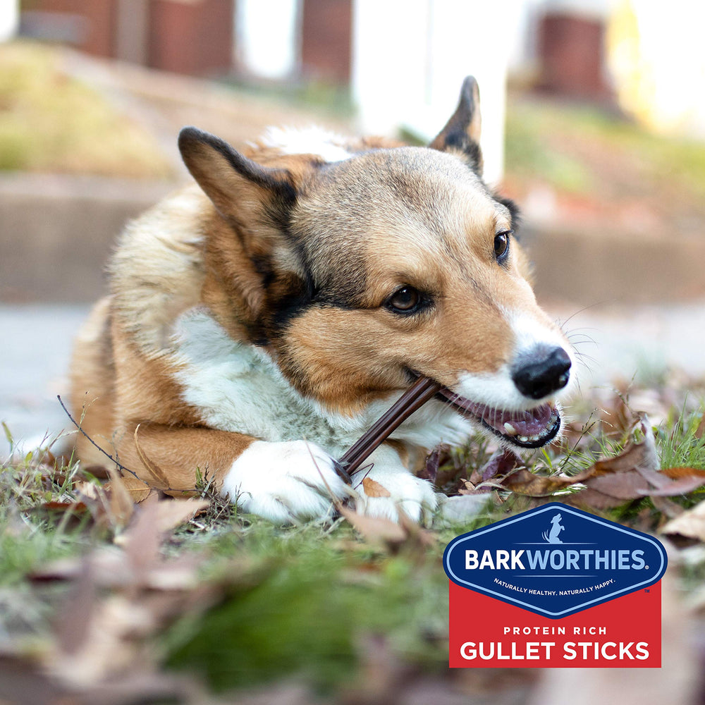 Barkworthies Beef Gullet Stick label highlights single-ingredient beef goodness.