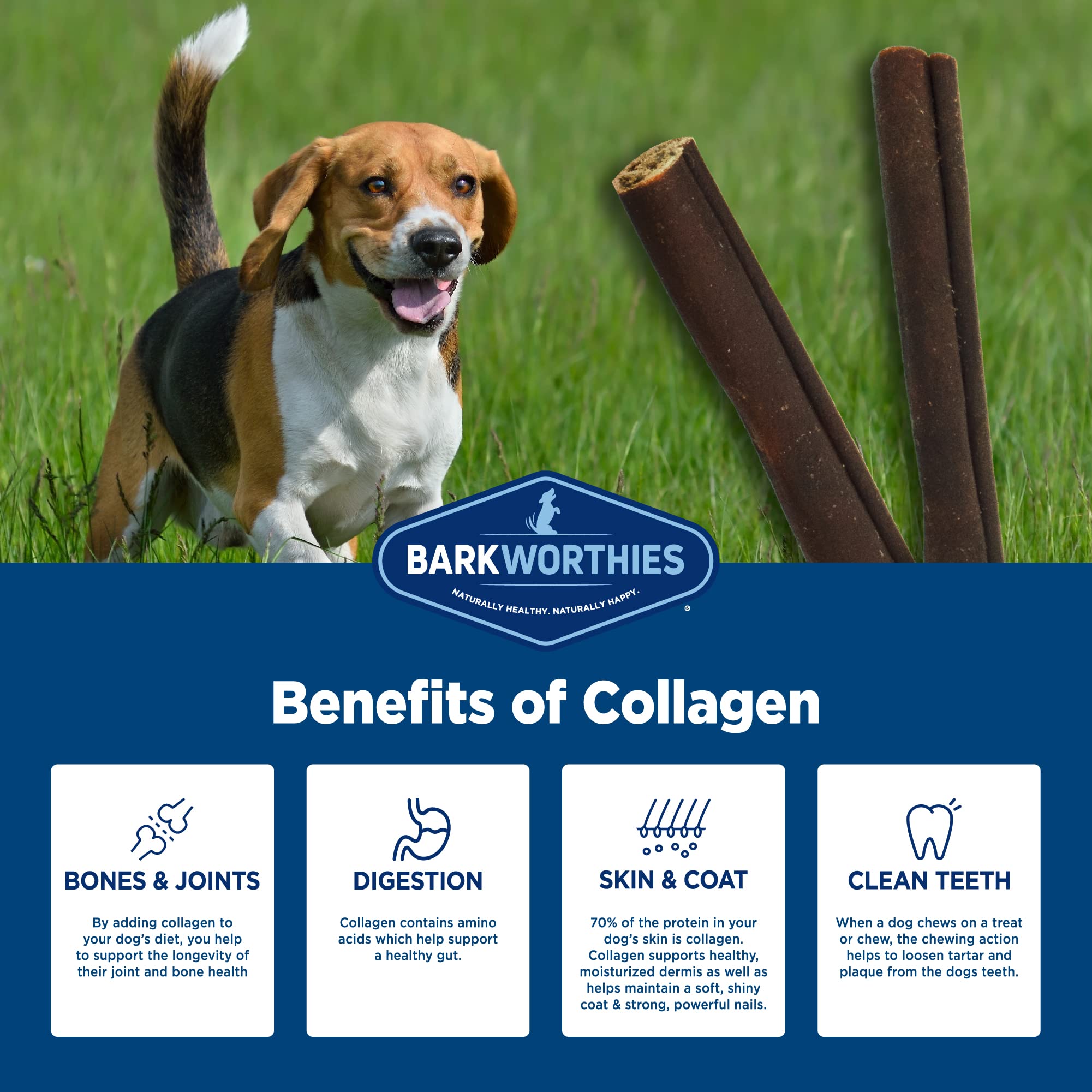 Barkworthies Collagen Sticks beef flavor pack shot showcases savory taste dogs enjoy