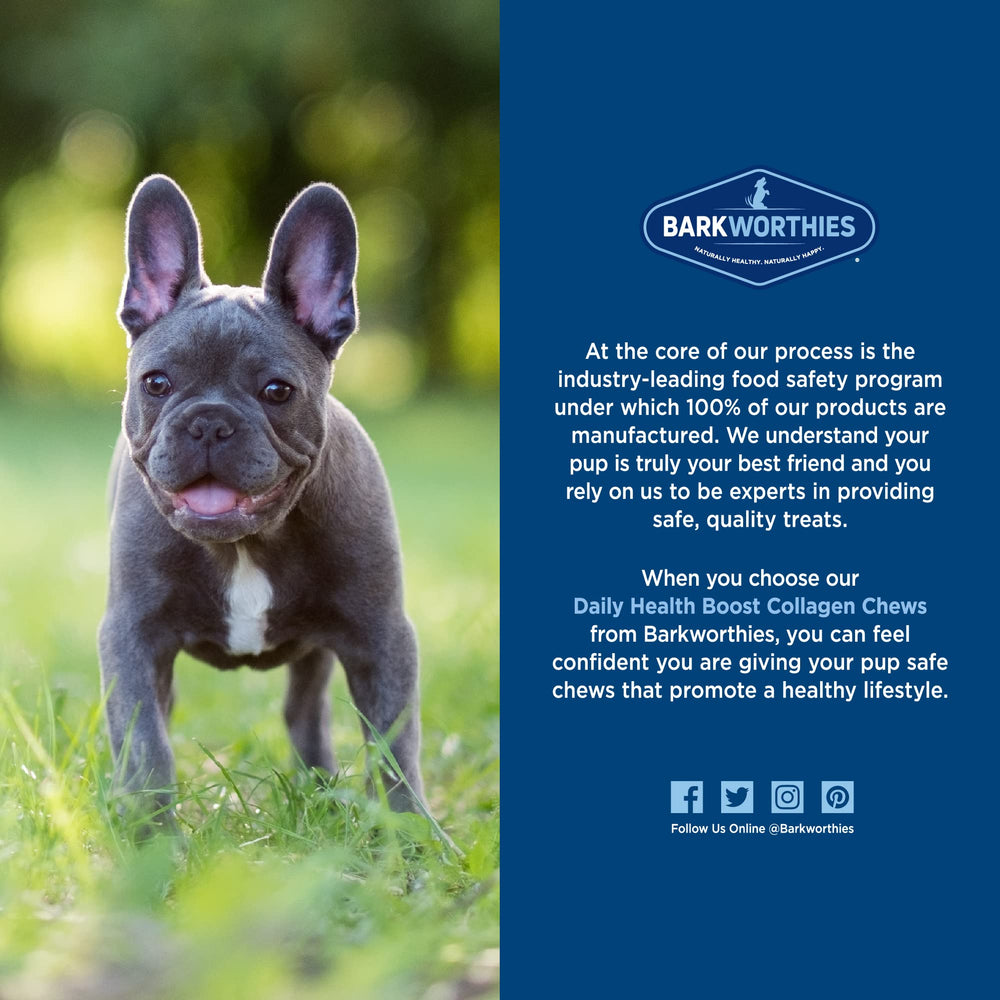Barkworthies Collagen Sticks rawhide-free pack underscores safer alternative for dogs