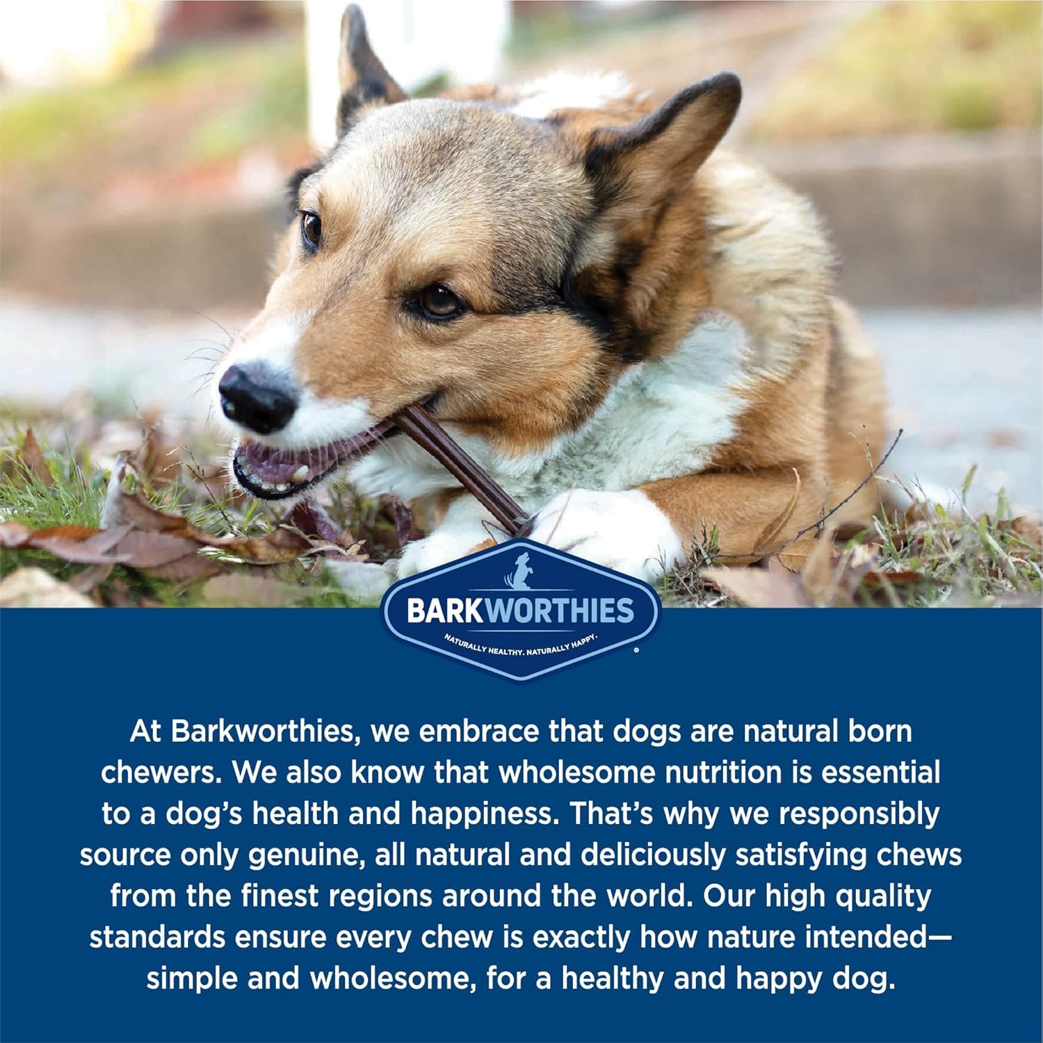 Grain-free, preservatives-free treats support digestion-friendly chews for dogs.