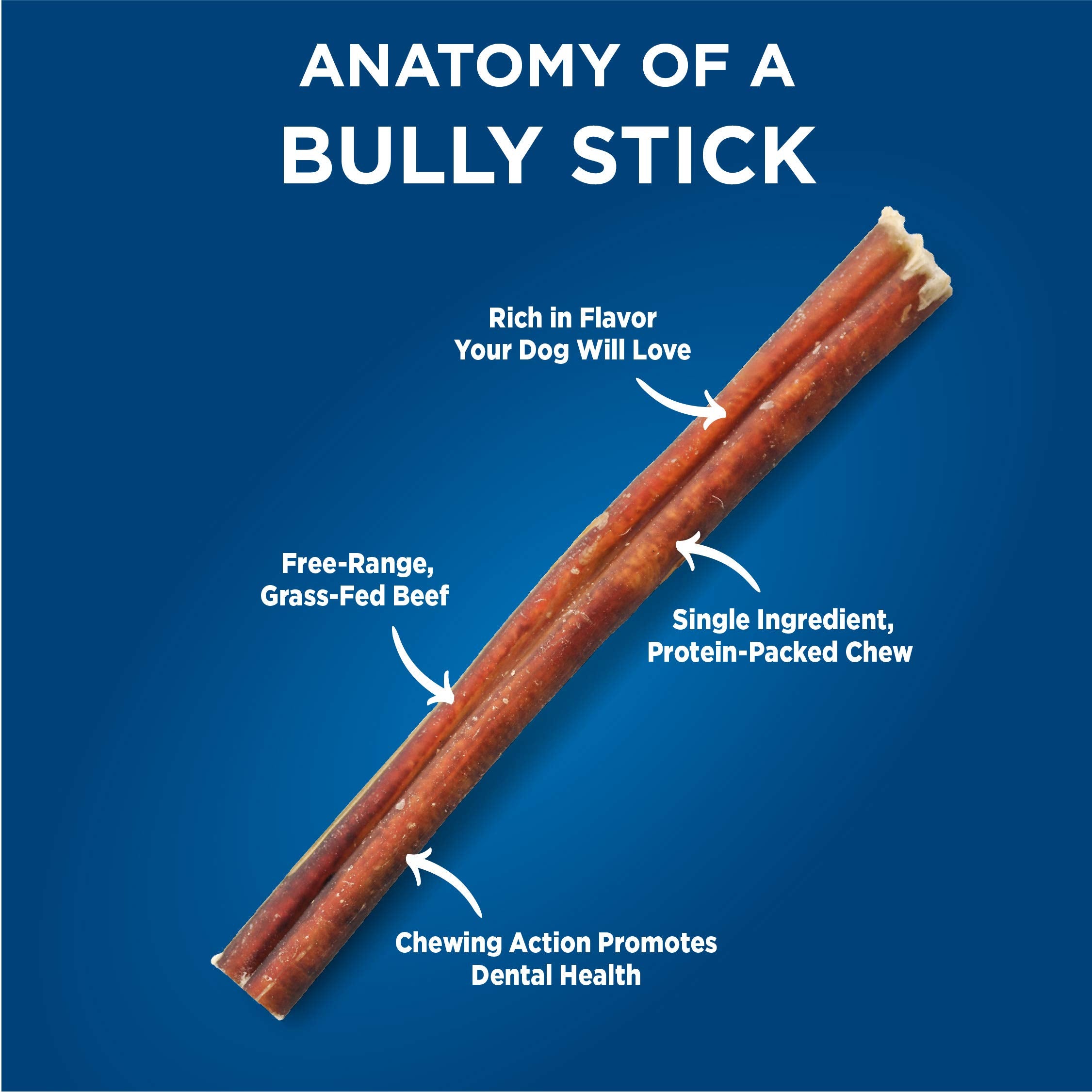 Barkworthies OdorFree 12in Bully Stick dog-chewing scene showing durable chew