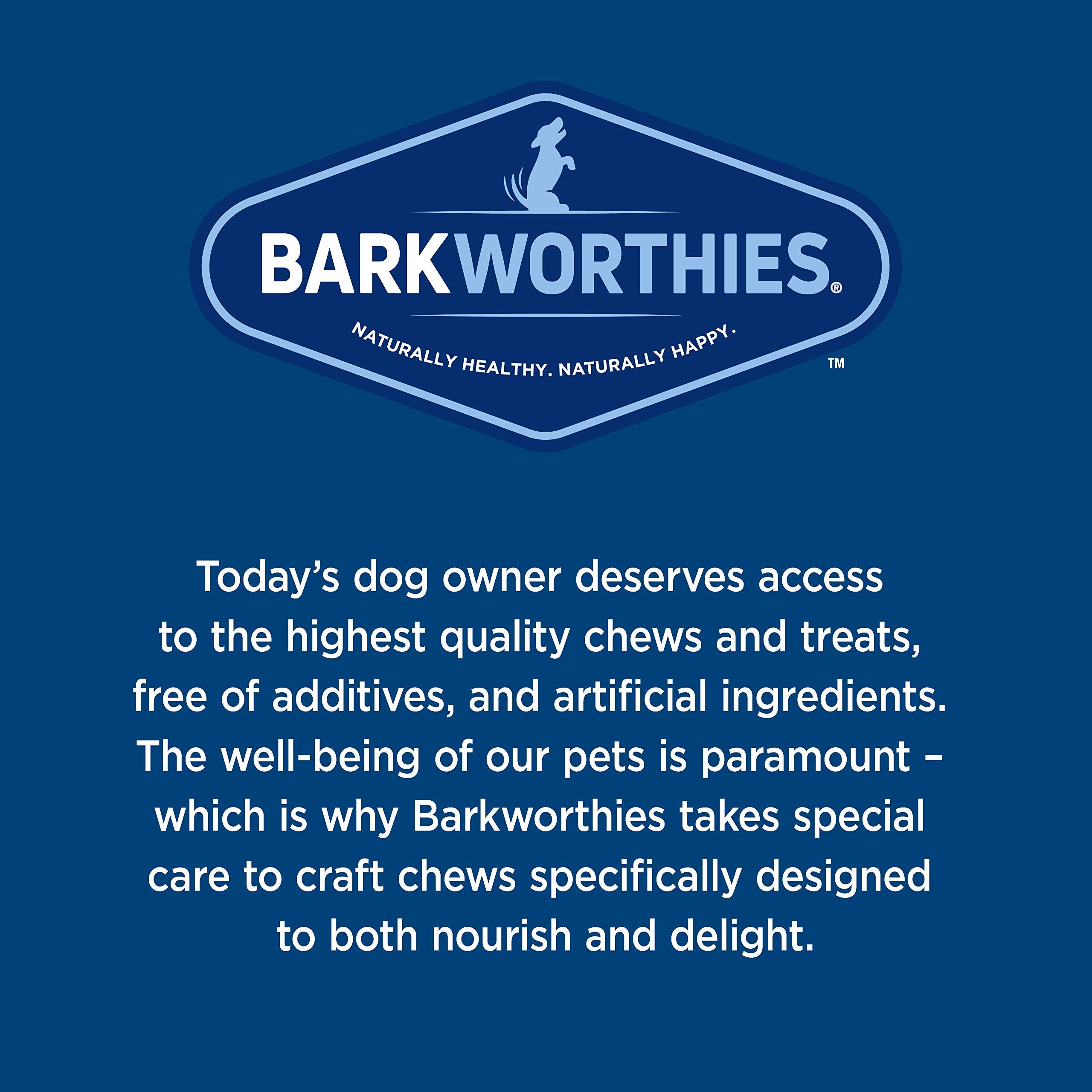 Barkworthies OdorFree 12in Bully Stick suitable for medium to large dogs