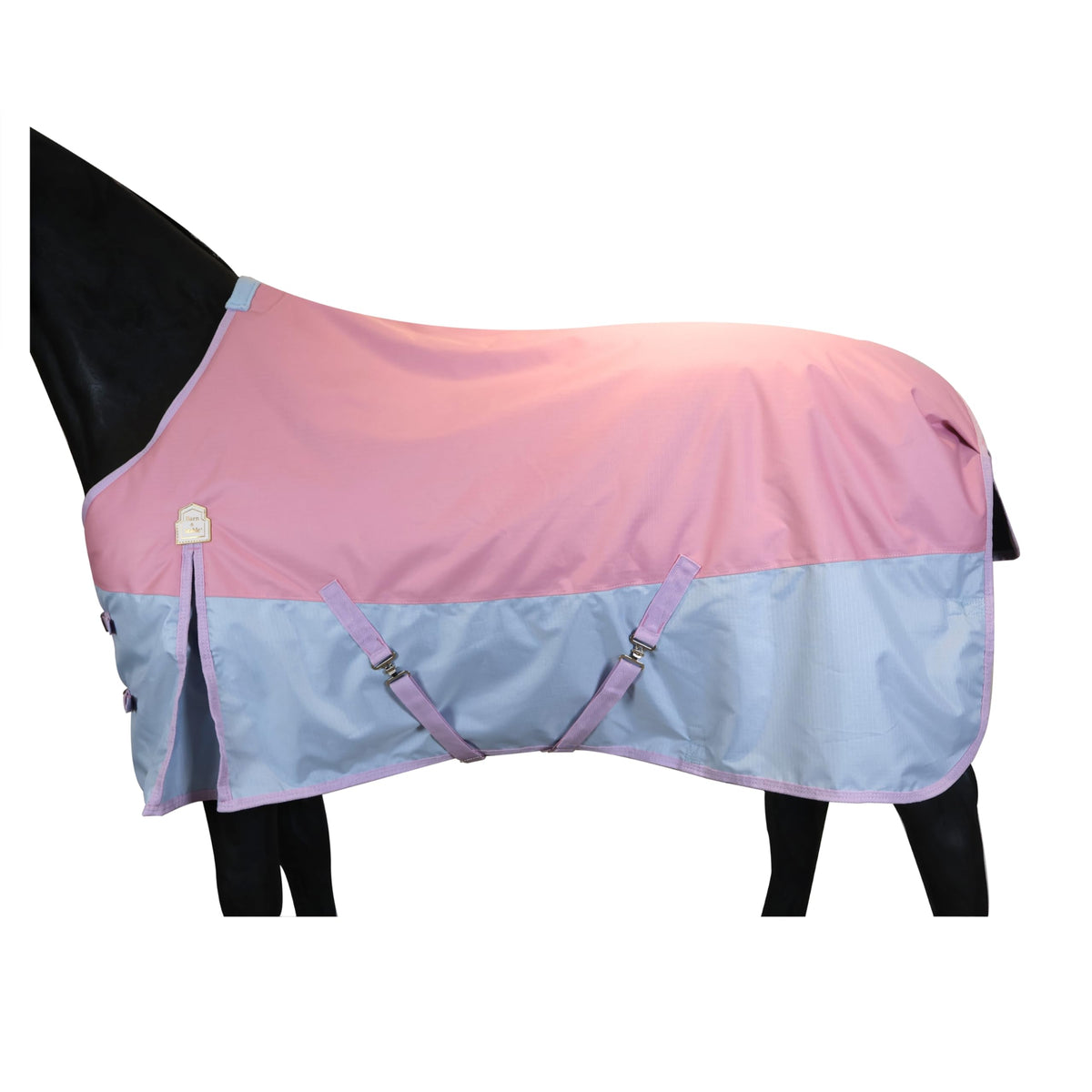 BARN & STABLE front view with secure double-buckle closure for a snug fit.