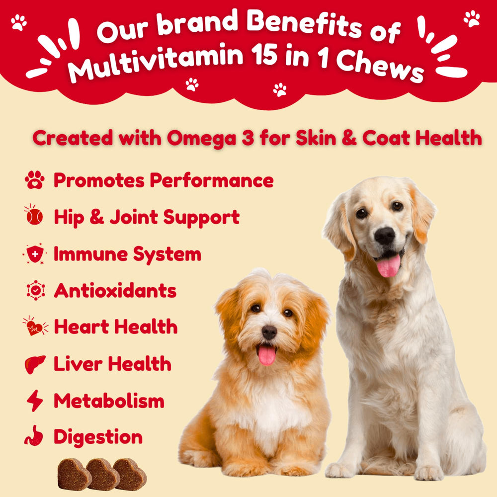 BARSIK dog multivitamin chicken-chews closeup highlights tasty chew for daily use.