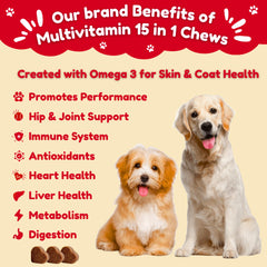 BARSIK dog multivitamin chicken-chews closeup highlights tasty chew for daily use.
