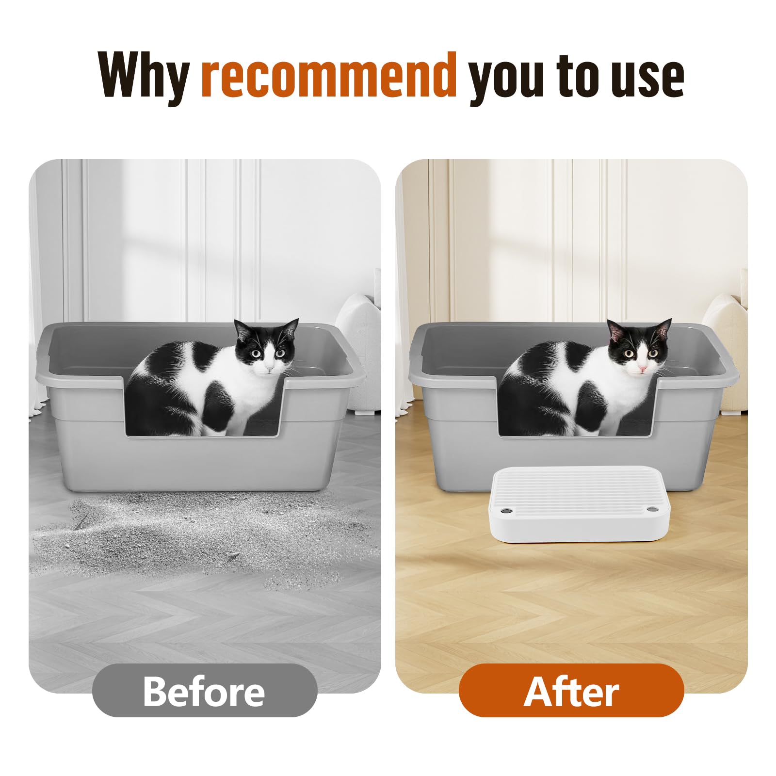 Bartuke non-slip stickers on ramp ensure stable footing during use.