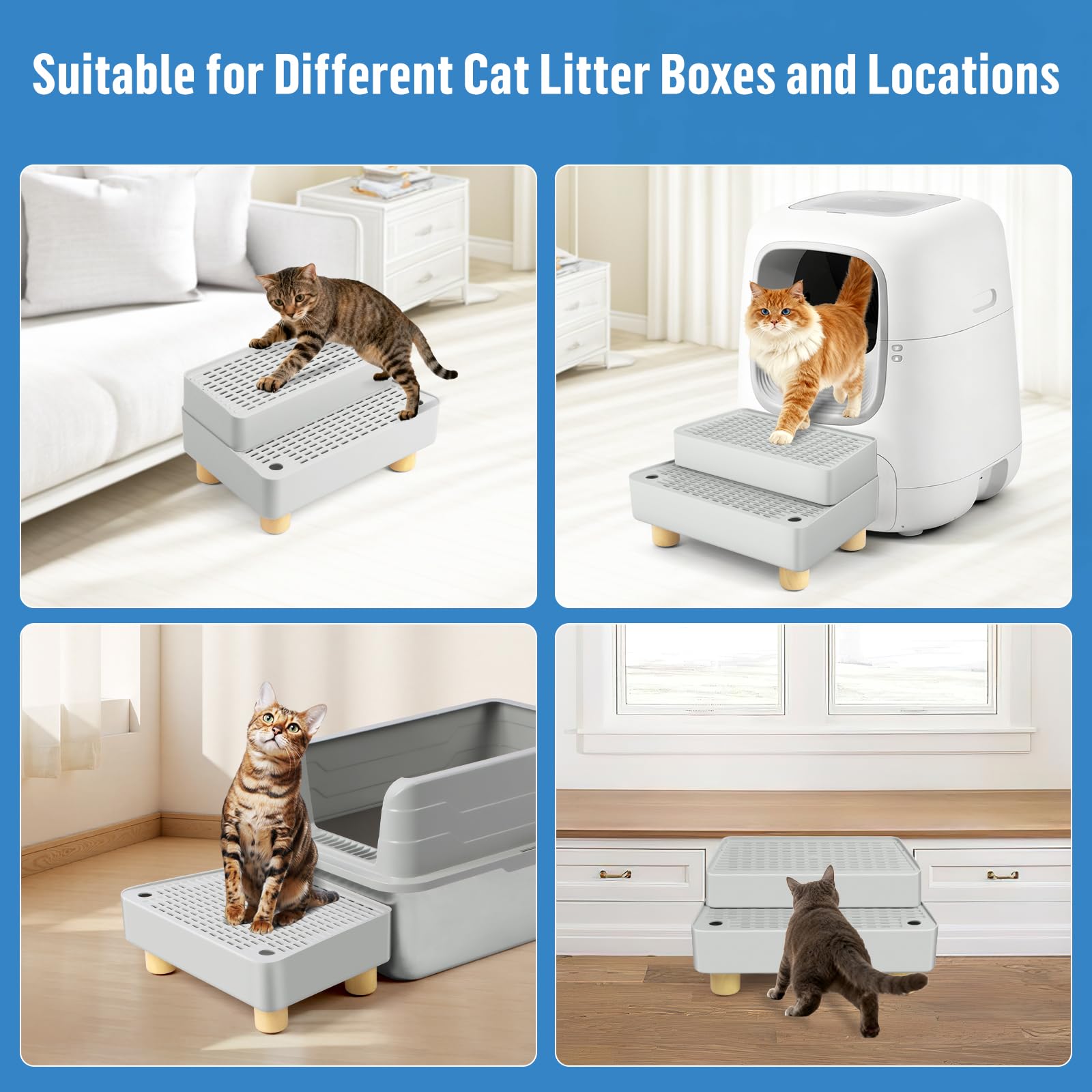 Bartuke cat litter step ramp in use for easy entry by kittens and seniors