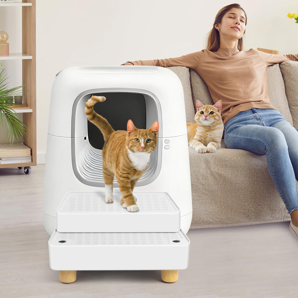 Bartuke kittens and elderly cats enjoy safe, stable access to litter boxes