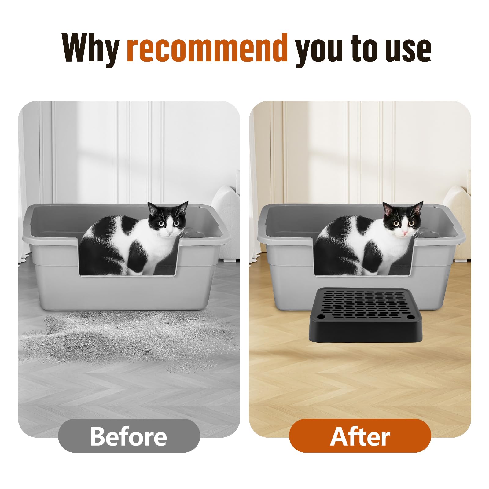 Bartuke ramp dimensions 29.2x20x5 cm for space-conscious setup