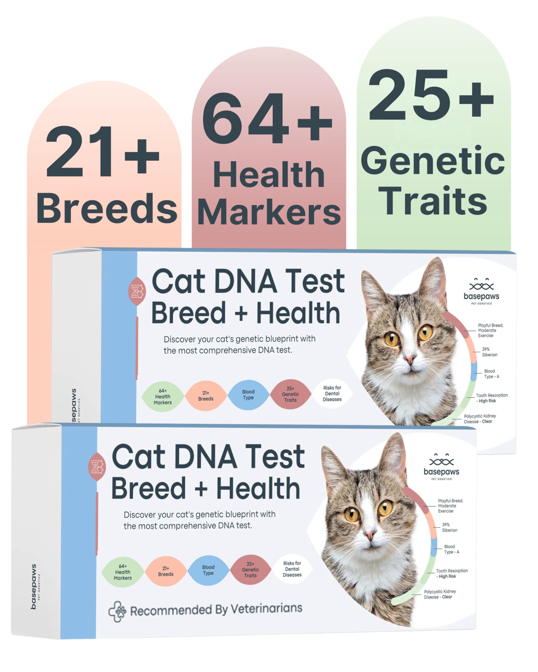 Basepaws Cat DNA Test Kit 2 Pack packaging showing contents for breed and health insights.