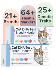 Basepaws Cat DNA Test Kit 2 Pack packaging showing contents for breed and health insights.