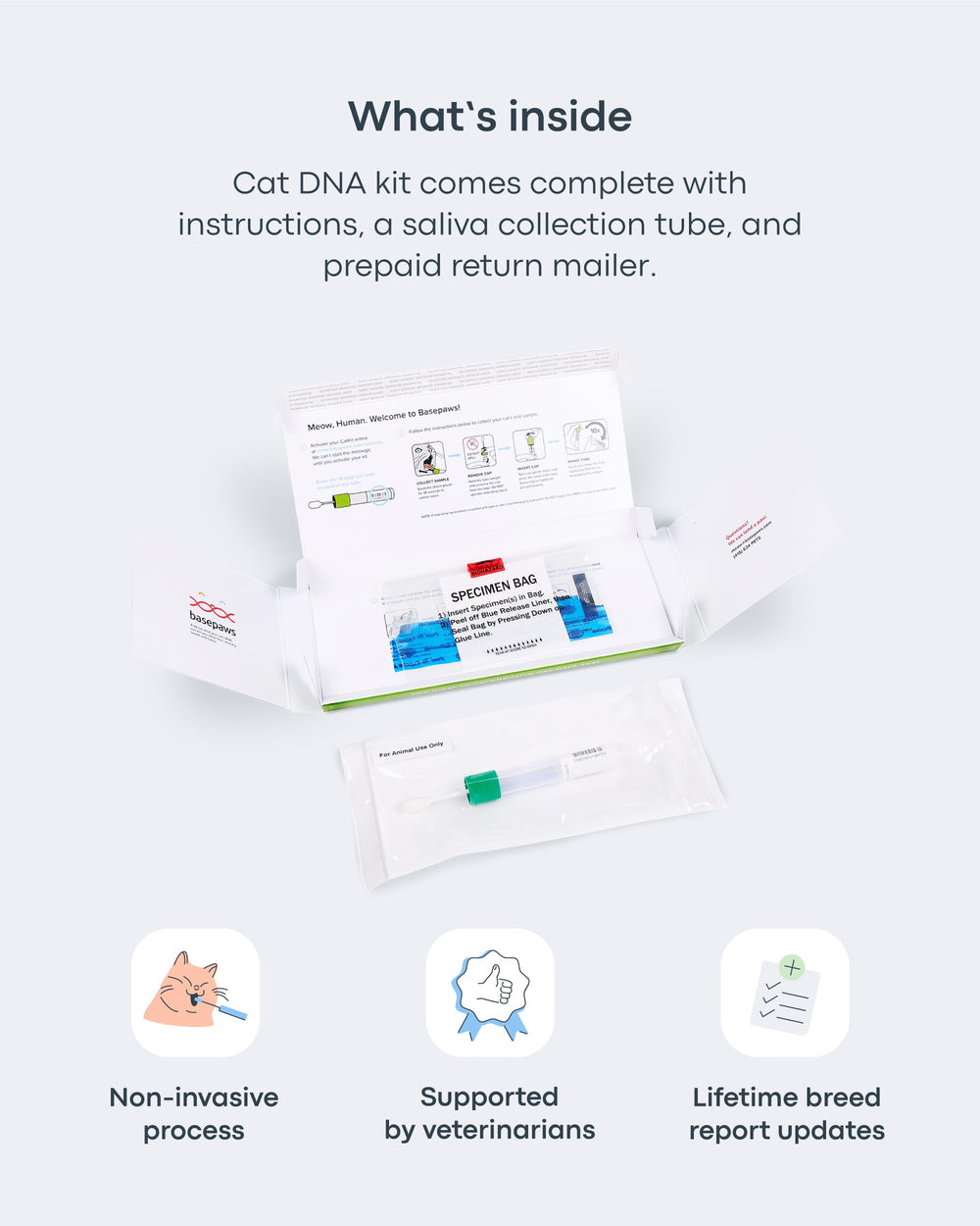 Basepaws Cat DNA Test Kit 2 Pack unboxing scene emphasizes ease of use.
