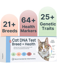 Basepaws cat DNA test kit sample collection shows easy at home sampling for insights