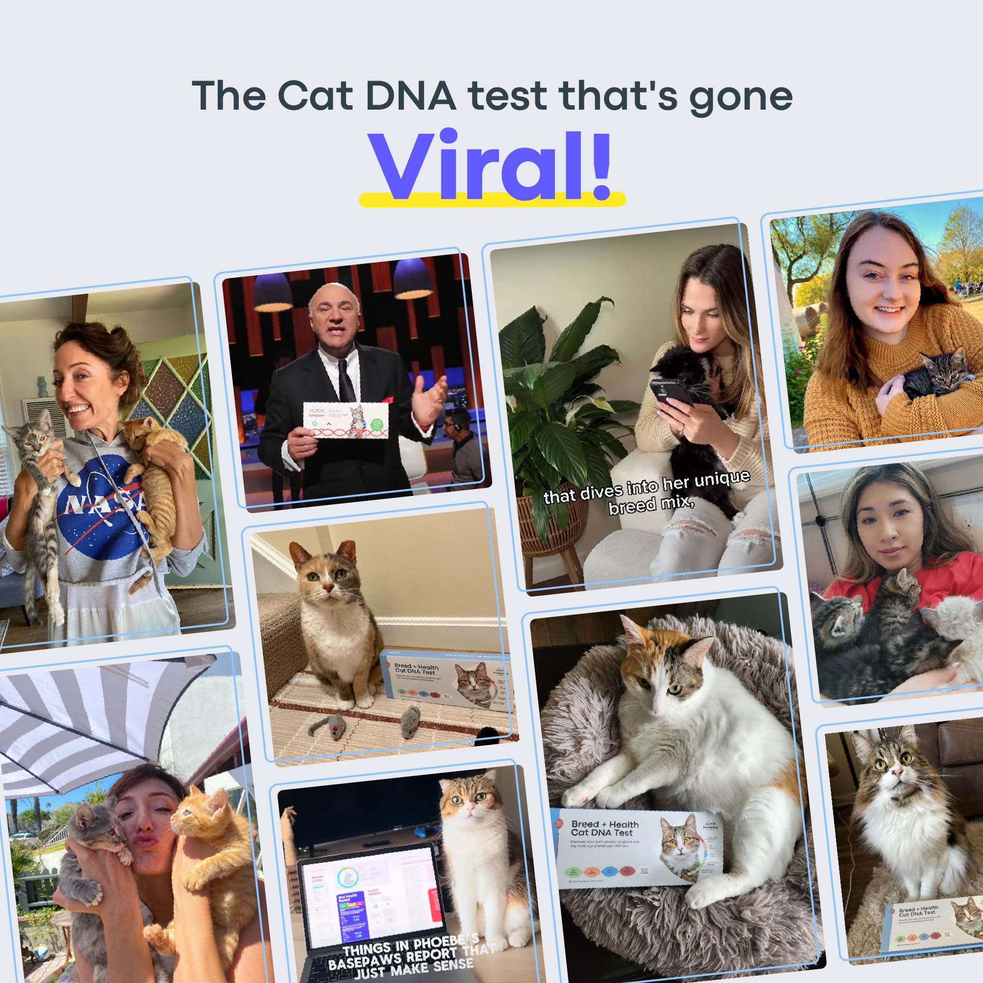 Basepaws cat DNA test kit swab action demonstrates quick gentle sample collection with clear instructions