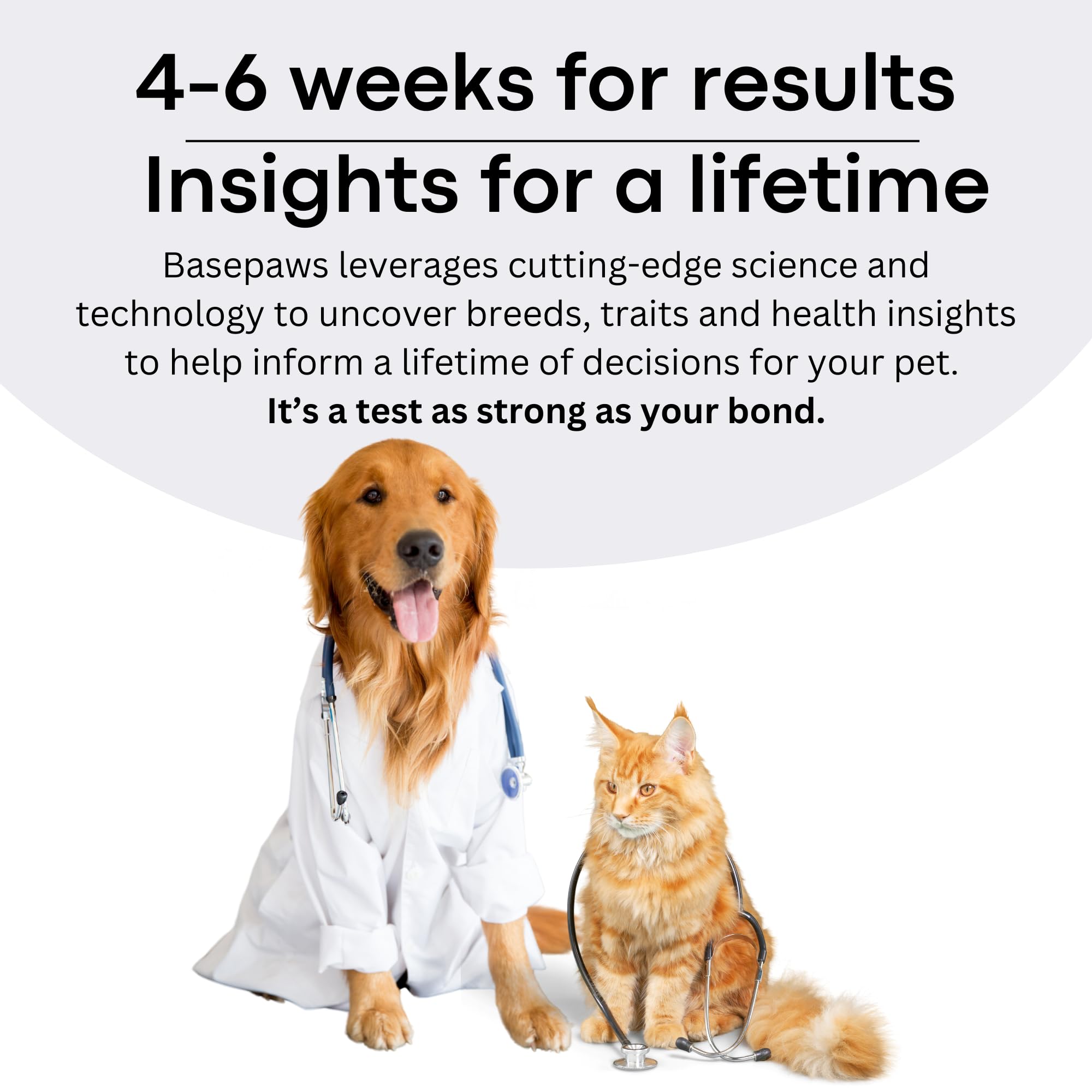 Basepaws dog DNA kit owner enrichment: use report for care ideas
