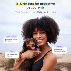 Basepaws dog DNA kit results report presents breed, traits, and risks