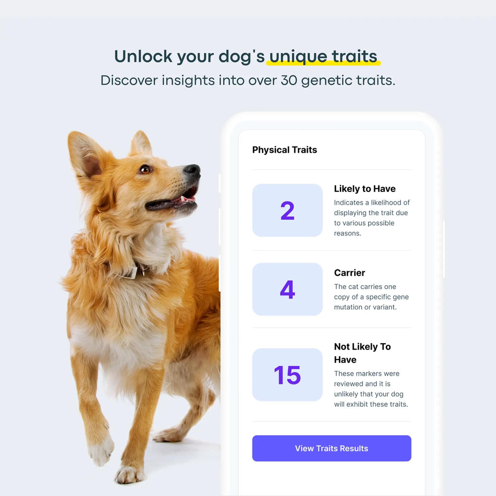 Basepaws dog DNA kit traits chart highlights 30+ mix-breed traits