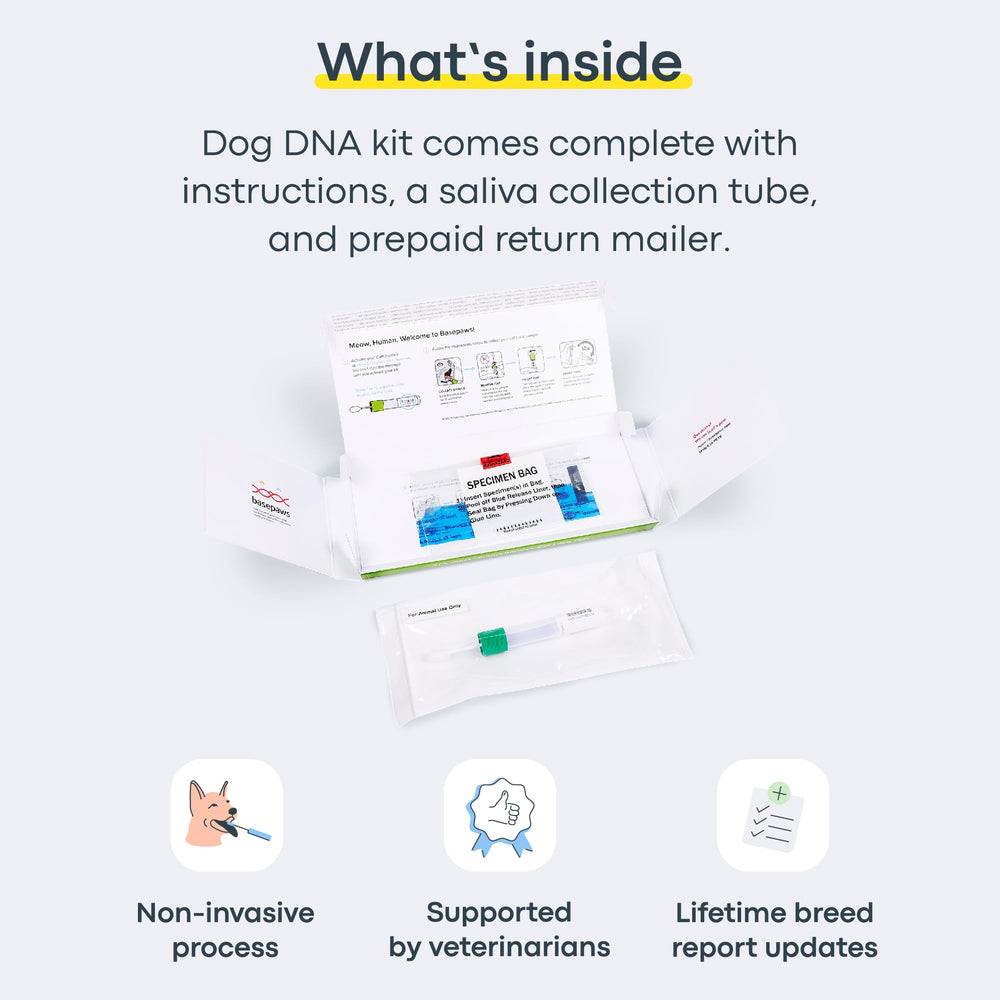 Basepaws dog DNA kit vet-approved seal signals trusted insights