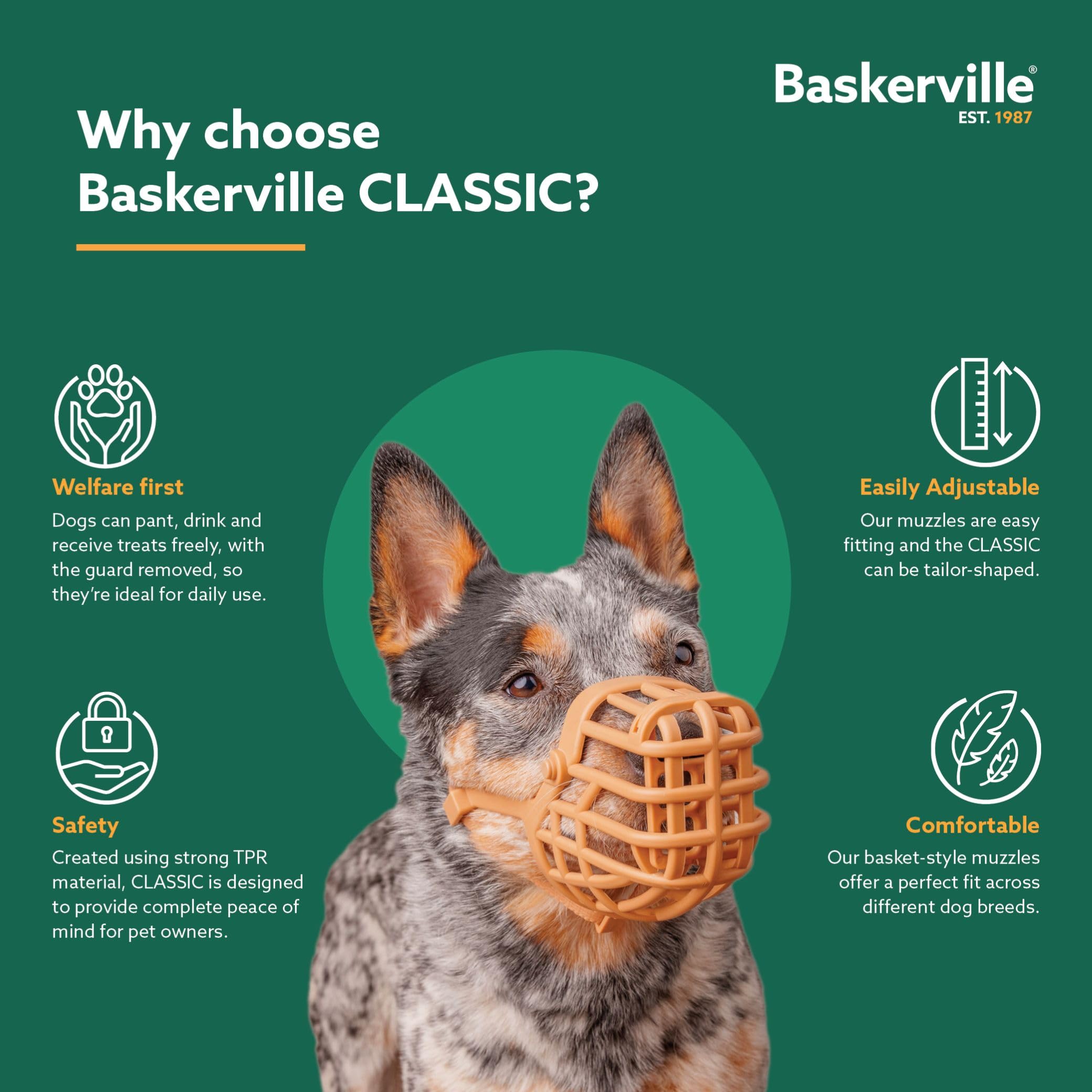Baskerville Classic Basket Muzzle training setup for safe reward-based practice