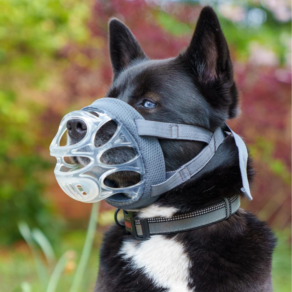 Baskerville INVISA heat-shaped nose pad provides a customized, comfortable fit
