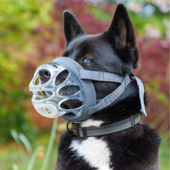Baskerville INVISA heat-shaped nose pad provides a customized, comfortable fit