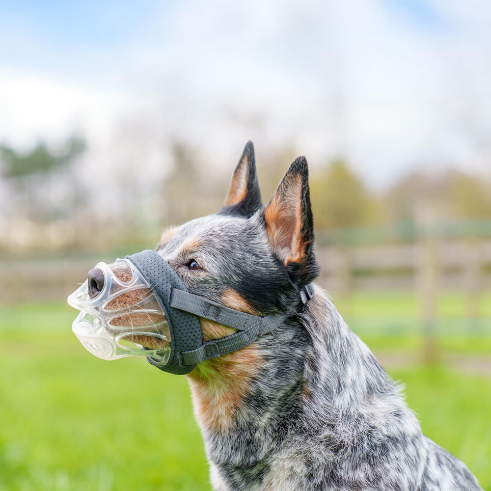 Baskerville INVISA muzzle shows adjustable fit for comfortable, customized nose coverage.