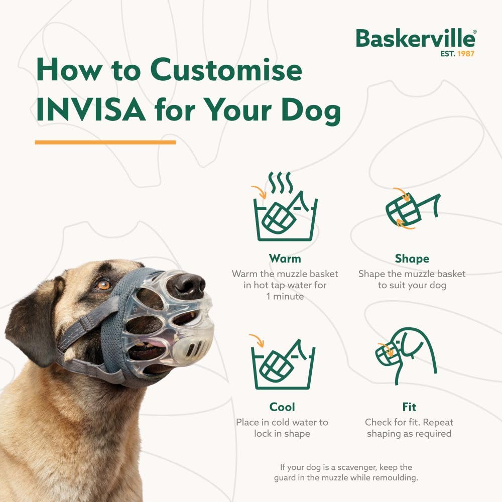 Baskerville INVISA allows dogs to drink and enjoy treats safely