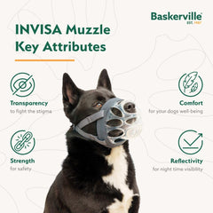 Baskerville INVISA reflective V-straps enhance security and a snug fit