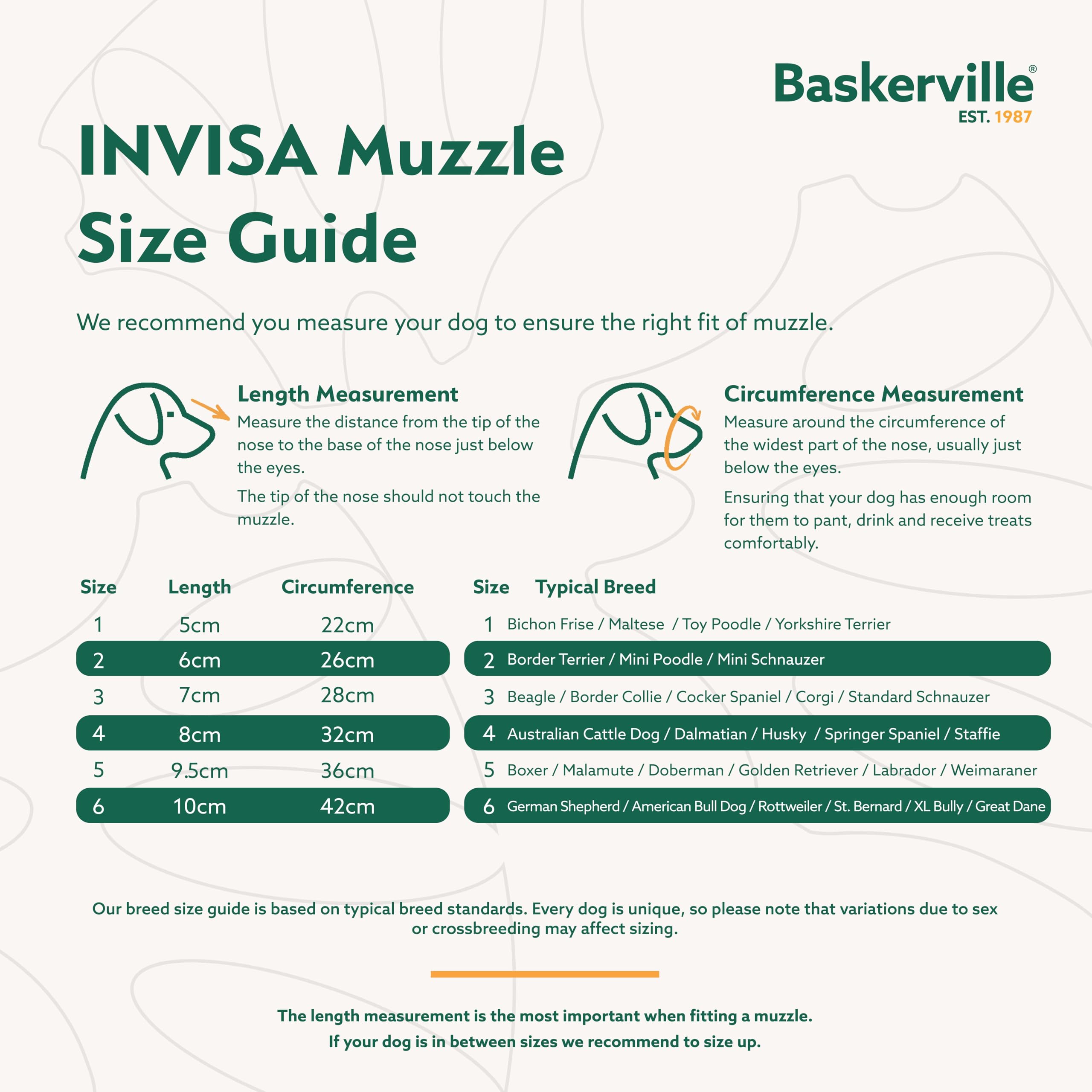 Baskerville INVISA removable guard prevents scavenging while allowing panting and drinking