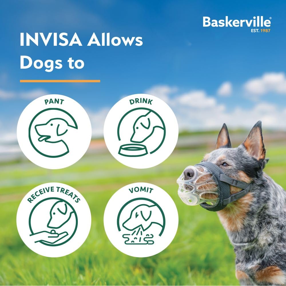 Baskerville INVISA size guide helps find the right fit for medium dogs.